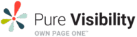 pure visibility logo
